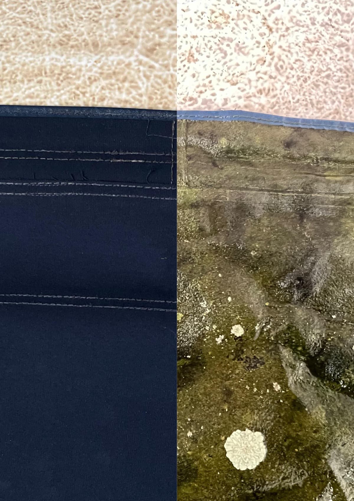 Eén blauwe bootkap in twee helften: links schoon en geïmpregneerd, rechts de vervuiling zoals die binnenkwam.